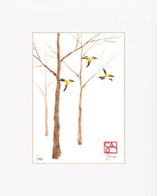 Load image into Gallery viewer, 5x7 Limited Edition Print - Forest Series