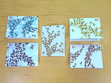 Load image into Gallery viewer, Greeting Card Set - Murmuration - Set of 5 different cards