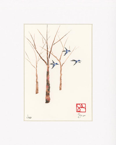 5x7 Limited Edition Print - Forest Series