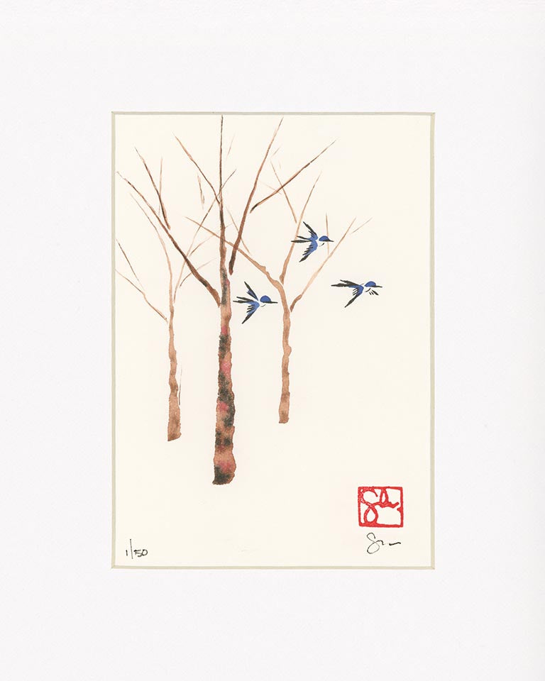 5x7 Limited Edition Print - Forest Series