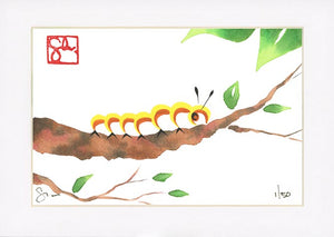 4x6 Limited Edition Print - Caterpillar Series