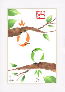 4x6 Limited Edition Print - Bird Series