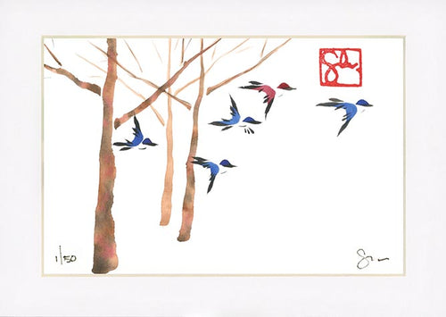 4x6 Limited Edition Print - Forest Series
