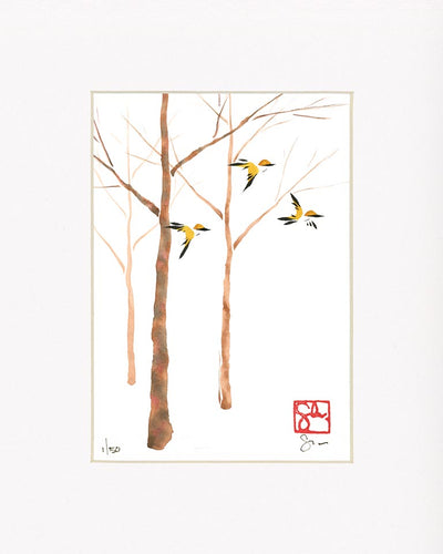 5x7 Limited Edition Print - Forest Series